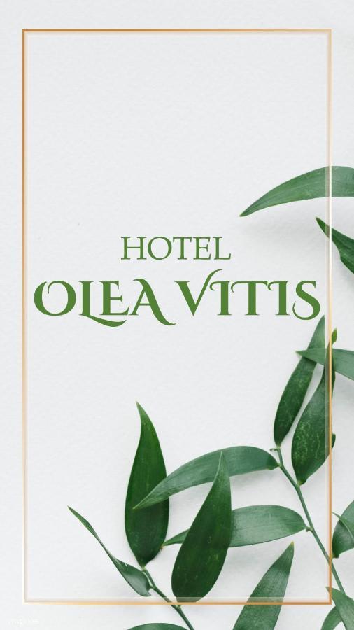 Hotel Olea Vitis Međugorje Exterior foto